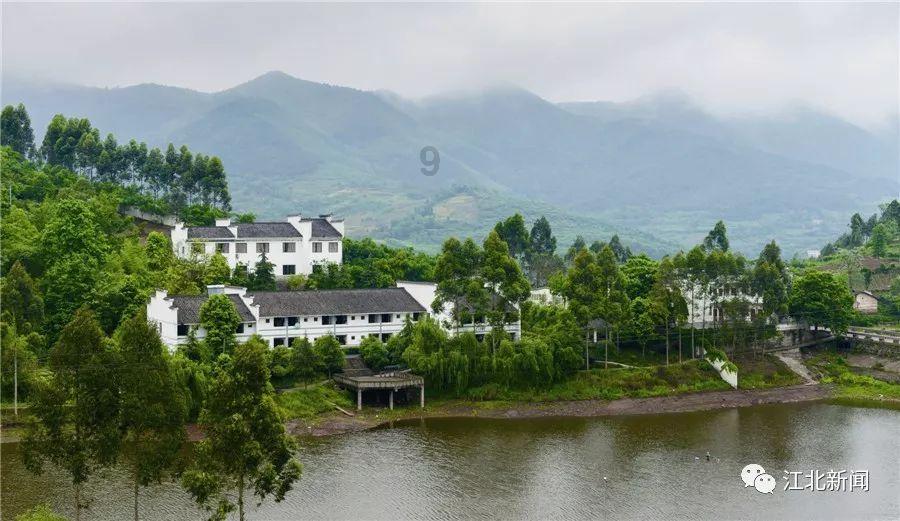 生意失败，现在很迷茫，欠了五十多万，我一个农村出来的该怎么办？游戏画面